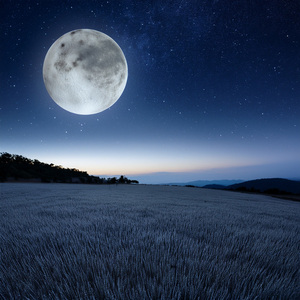 El Silencioso Ritmo Del Sueño