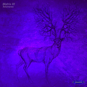 Telomeres (Original Mix)