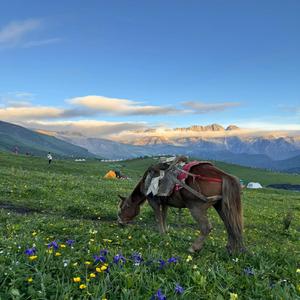 真心的人没有几个