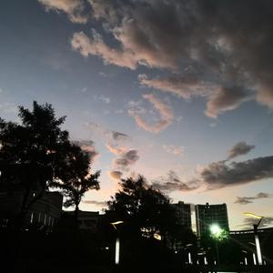 粗制滥造（三）