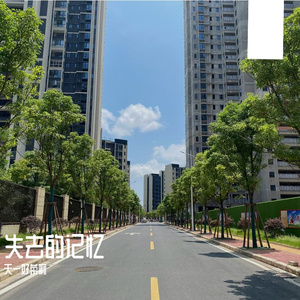 记忆