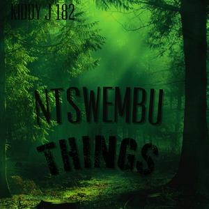 NTSWEMBU THINGS (AMAPIANO)