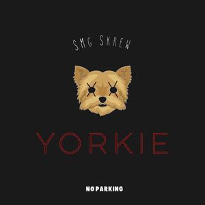 Yorkie