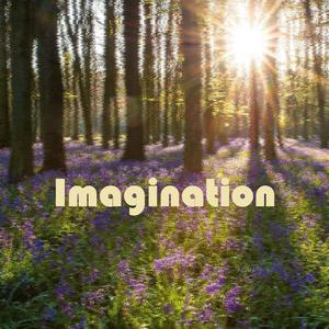 Imagination