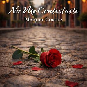 No Me Contestaste