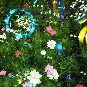 [Piano]Sleep aid music “Long Journey”