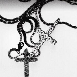 我要写一首悲伤愤怒的歌