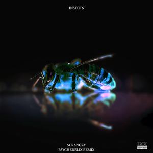 Insects (feat. Scrangzy) (Psychedelix Remix)
