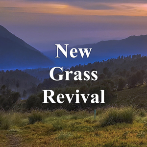 White Freight Liner Blues