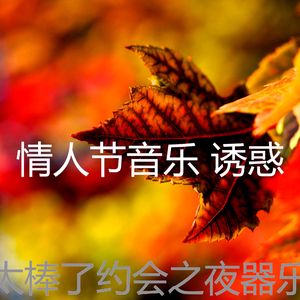 精彩浪漫的晚餐环境