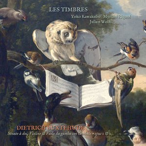 Trio Sonata in D Major, BuxWV 260: I. Adagio - II. Allegro - III. Largo - IV. Arietta - Parte Nos.1-9 - V. Largo - VI. Vivace (No. 2 from "Suonate a doi, violine e viola da gamba con cembalo, Opera secunda, 1696")