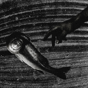 Рыба (Prod. Diklordefenil)