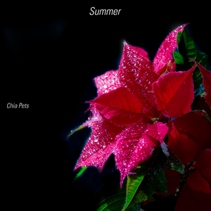 Star In Reversis