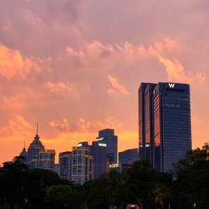 曦