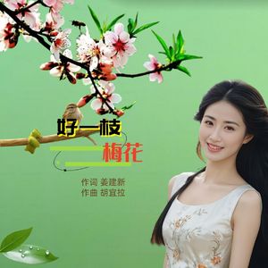 好一枝梅花