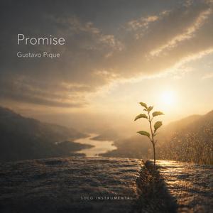 Promise