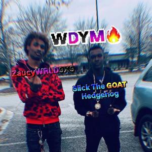 WDYM (feat. Slick the Goat hedgehog)