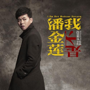 我是不潘金莲 (伴奏)