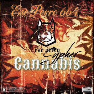 Cannabis (Cypher )
