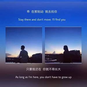 一个歌手的情书