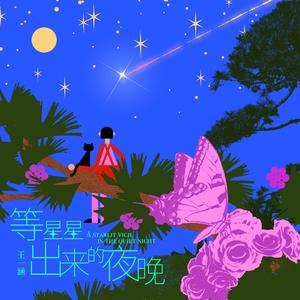 等星星出来的夜晚