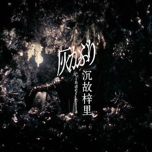 灰かぶり（灰姑娘）