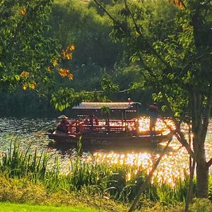 我记得（cover赵雷）