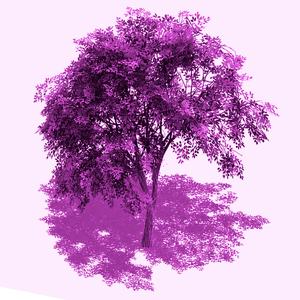 quemaduras envidiosas<3