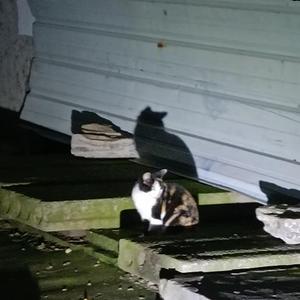 운전만해 (We Ride)