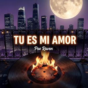 tu es mi amor