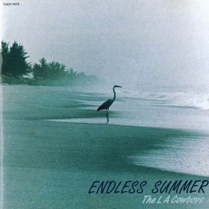 ENDLESS SUMME