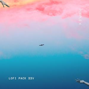 Chasing Midnight Dreams