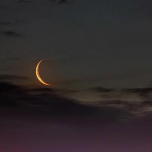 原谅（翻自 张玉华）