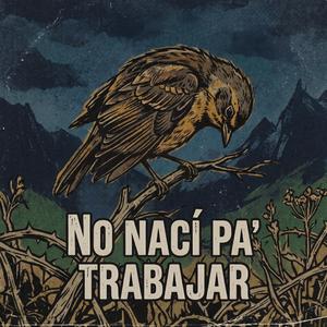 No Nací Pa' Trabajar