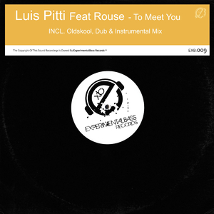 To Meet You (Instrumental Dub Mix) [Feat. Rouse]