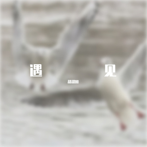 遇见
