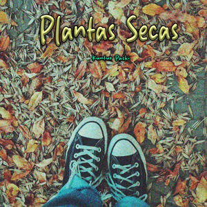 Plantas Secas