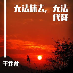 无法抹去，无法代替
