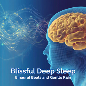 Homeostasis (寝落ちのための雨音)