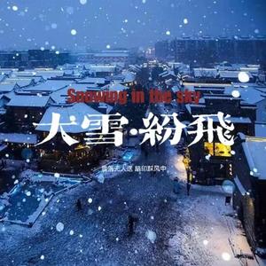 大雪·纷飞
