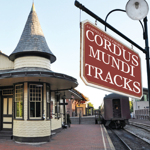 The Young Man's Song