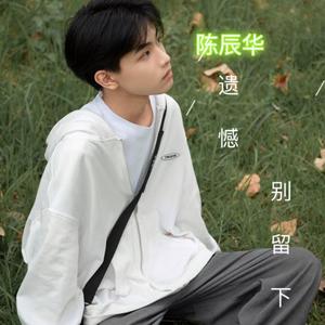 陈辰华-云烟成雨（陈辰华 remix）