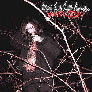 They've Learned not to Land Here