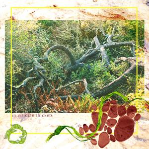 Amidst Salix and Toxicodendron, Artemisia Bring Me Vision