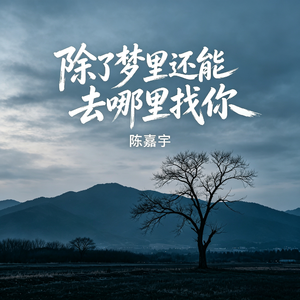 除了梦里还能去哪里找你