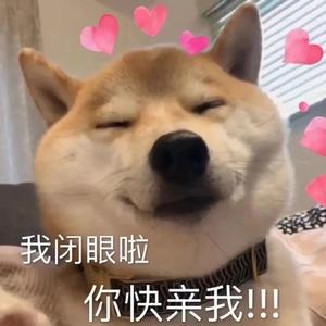 分你一半【开学也要甜甜的呀】（翻自 不是花火呀）