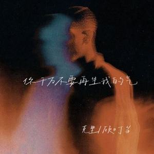 你千万不要再生我的气