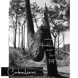 un diable sur le toit