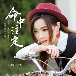 命中注定 (粤语DJ九零版)
