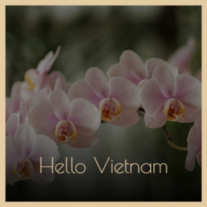 Hello Vietnam